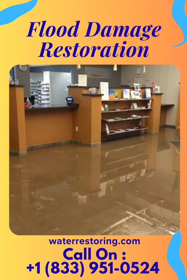 Flood Damage Restoration in Holiday Lake, IA